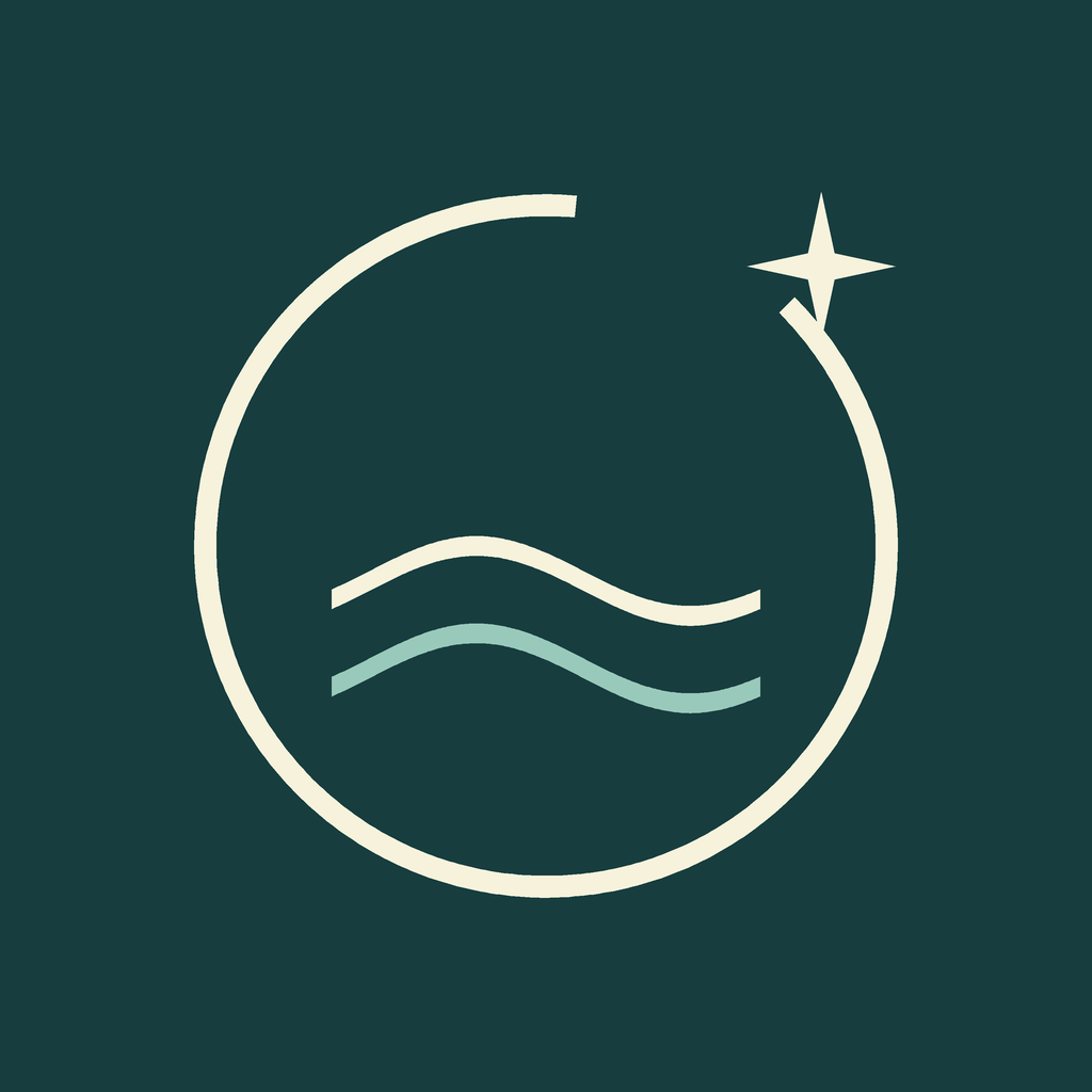 WashMaster icon